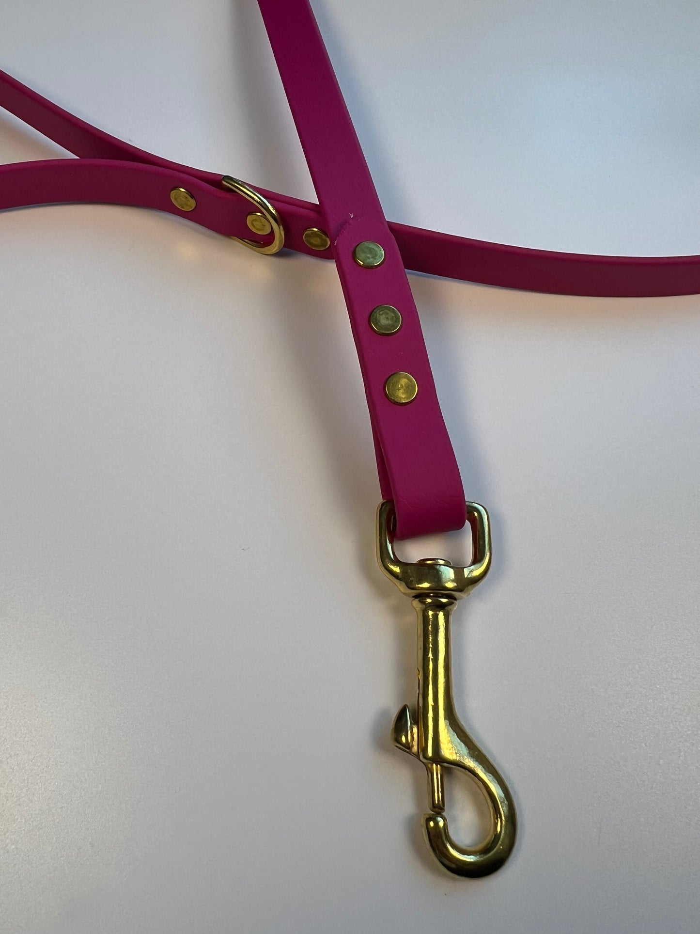 Classic Biothane Leash Magenta