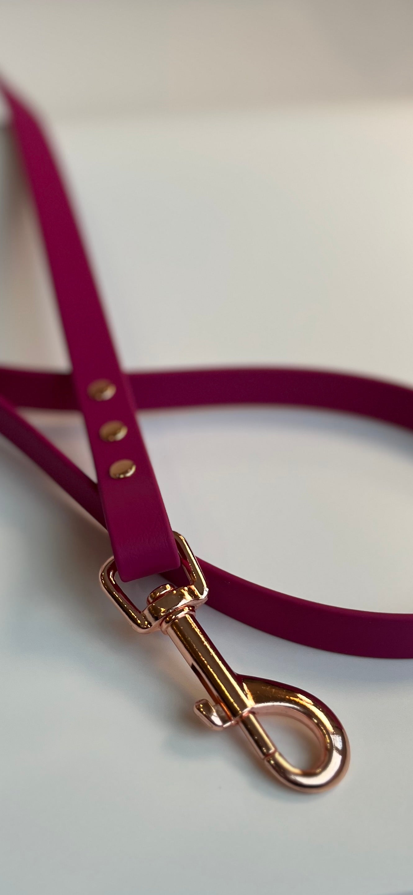 Classic Biothane Leash Magenta