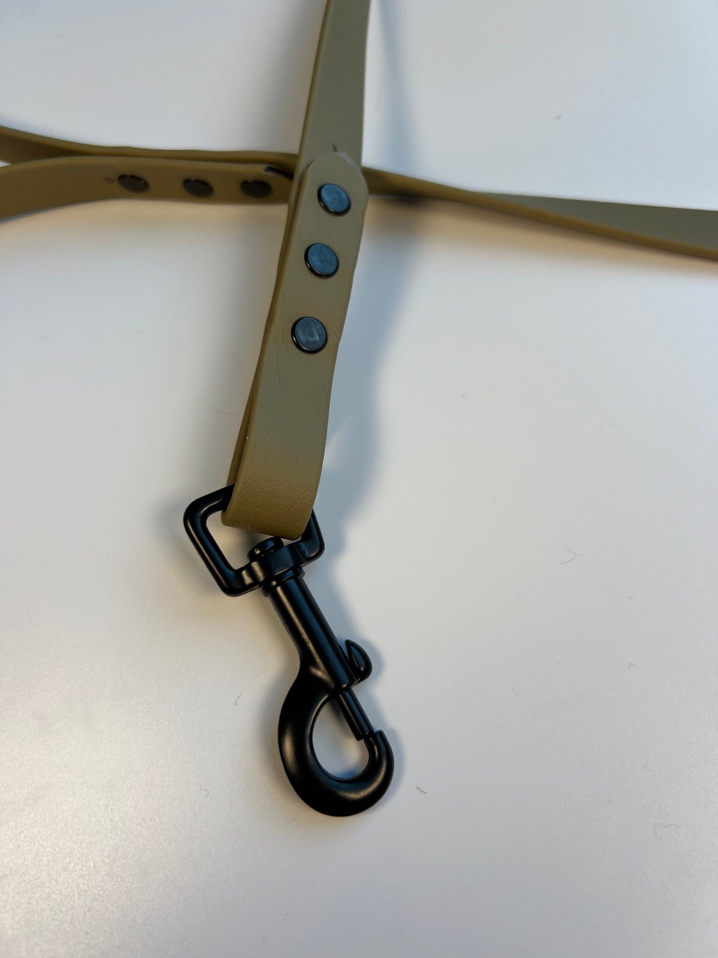 Classic Biothane Leash Sahara Tan