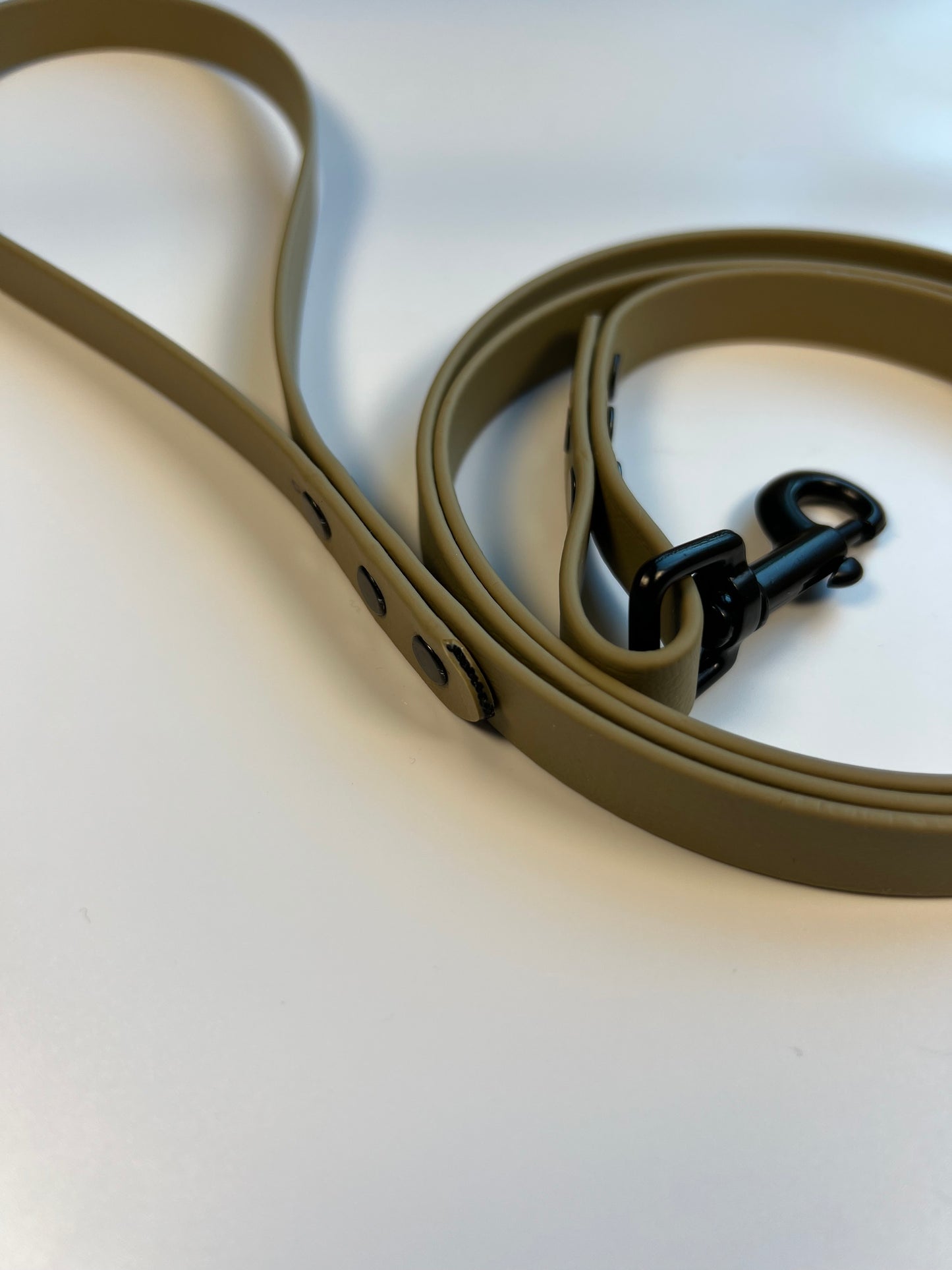 Classic Biothane Leash Sahara Tan