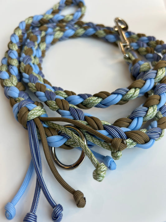 Summer Day Paracord Leash