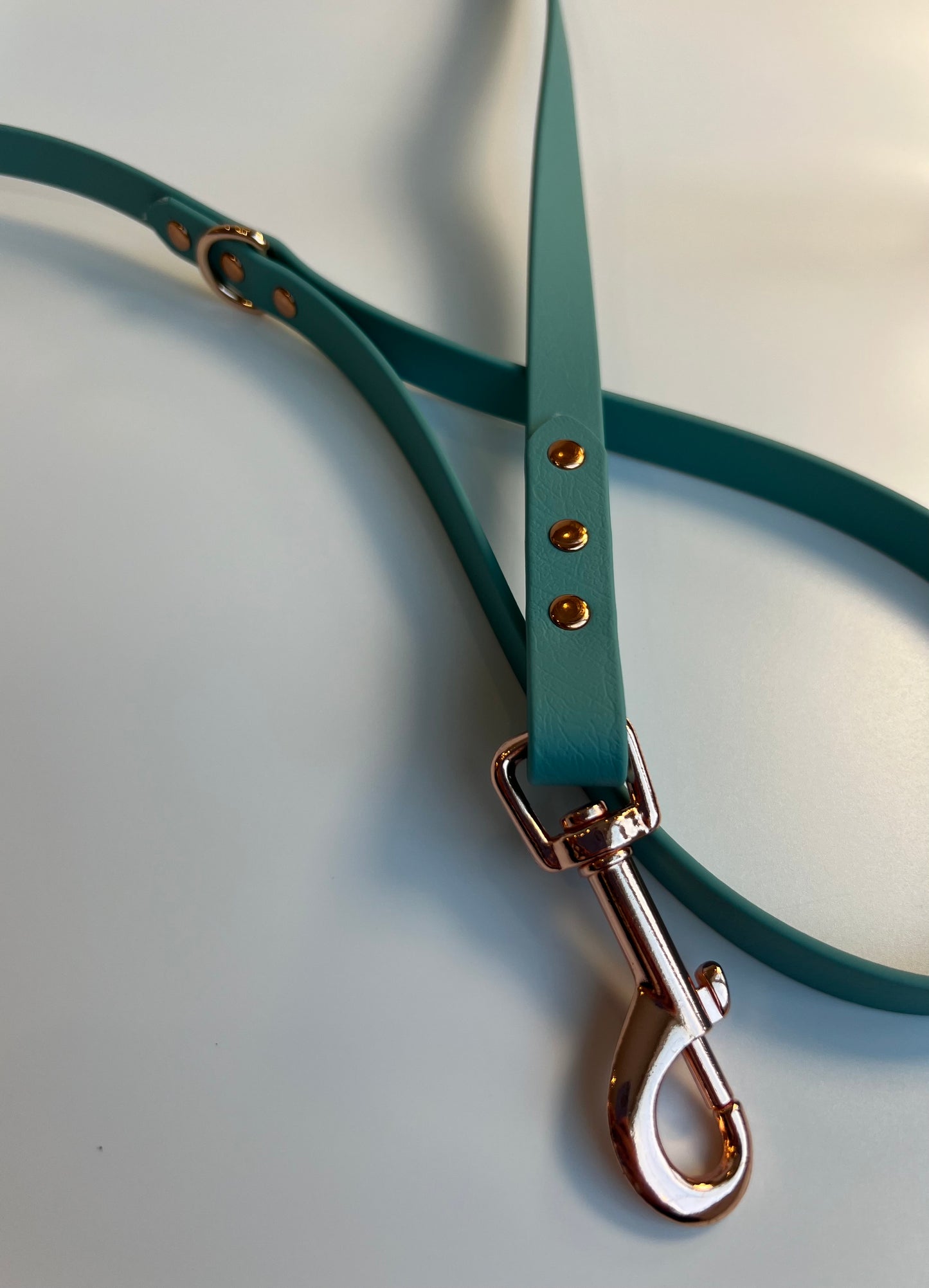 Classic Biothane Leash Teal