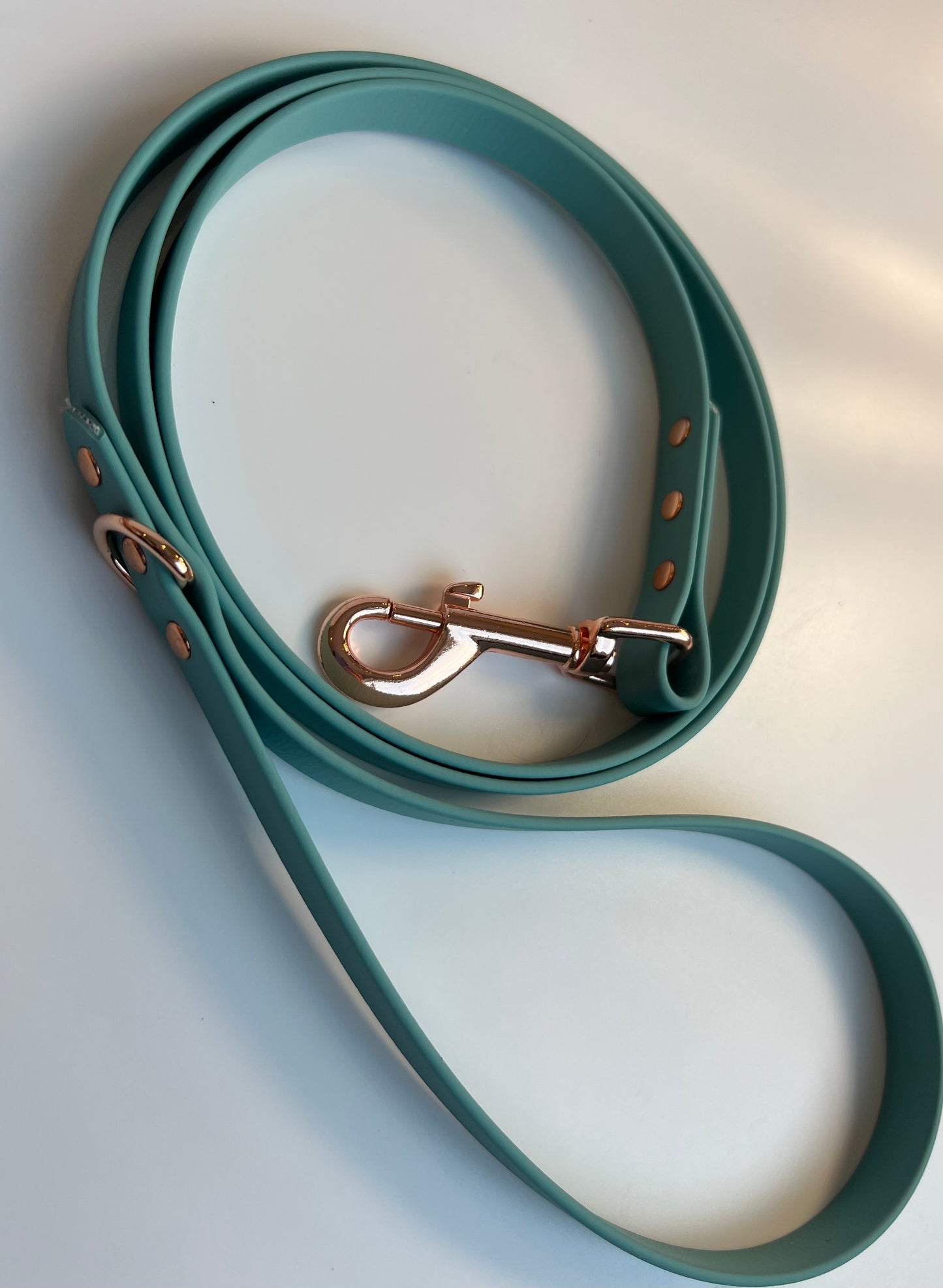 Classic Biothane Leash Teal