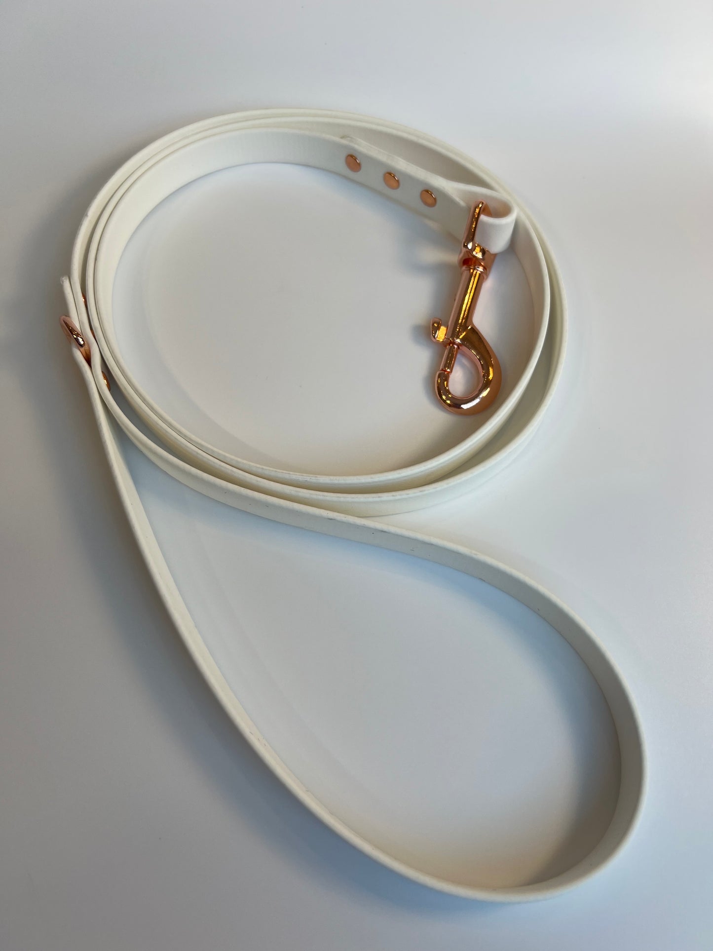 Classic Biothane Leash White